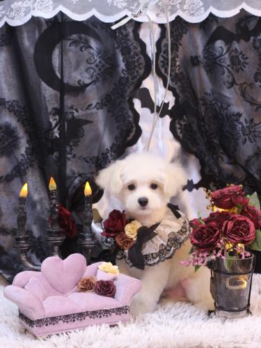 20231024ヌンくん